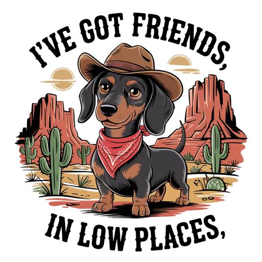 Friends in low places T-shirt
